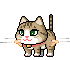 cat 35